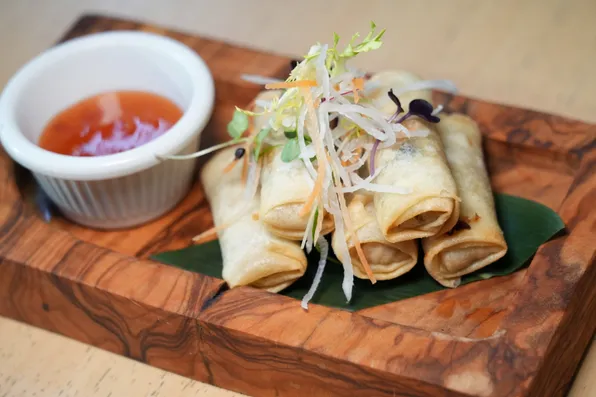 Vietnamese Chicken Spring Rolls